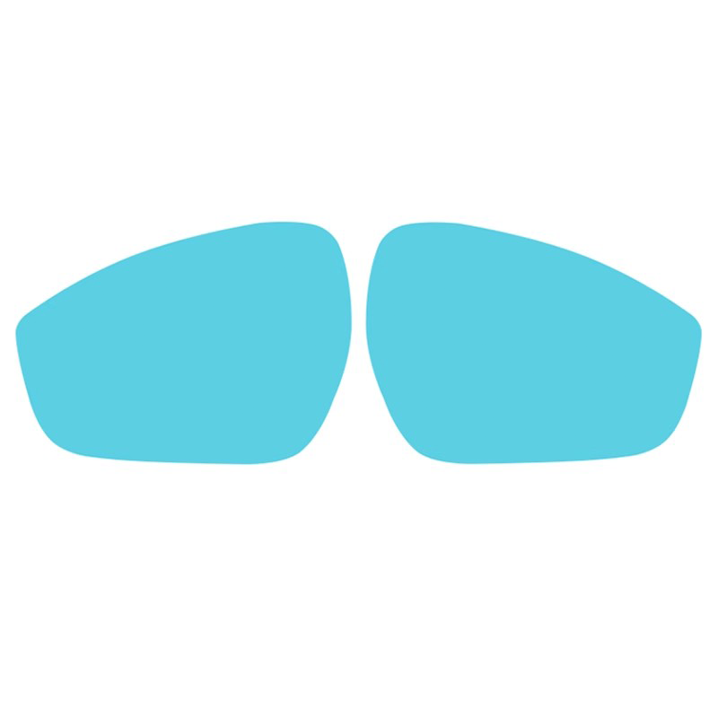 BYD Dolphin 2023-2024 Car rearview mirror waterproof sticker